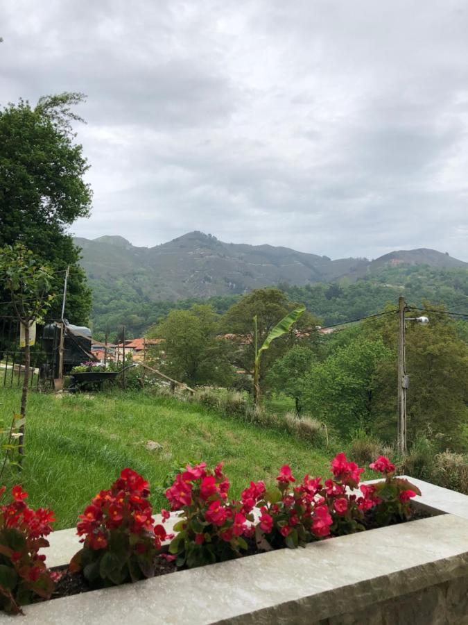 Alojamiento Rural Cosorios Onís Exteriér fotografie